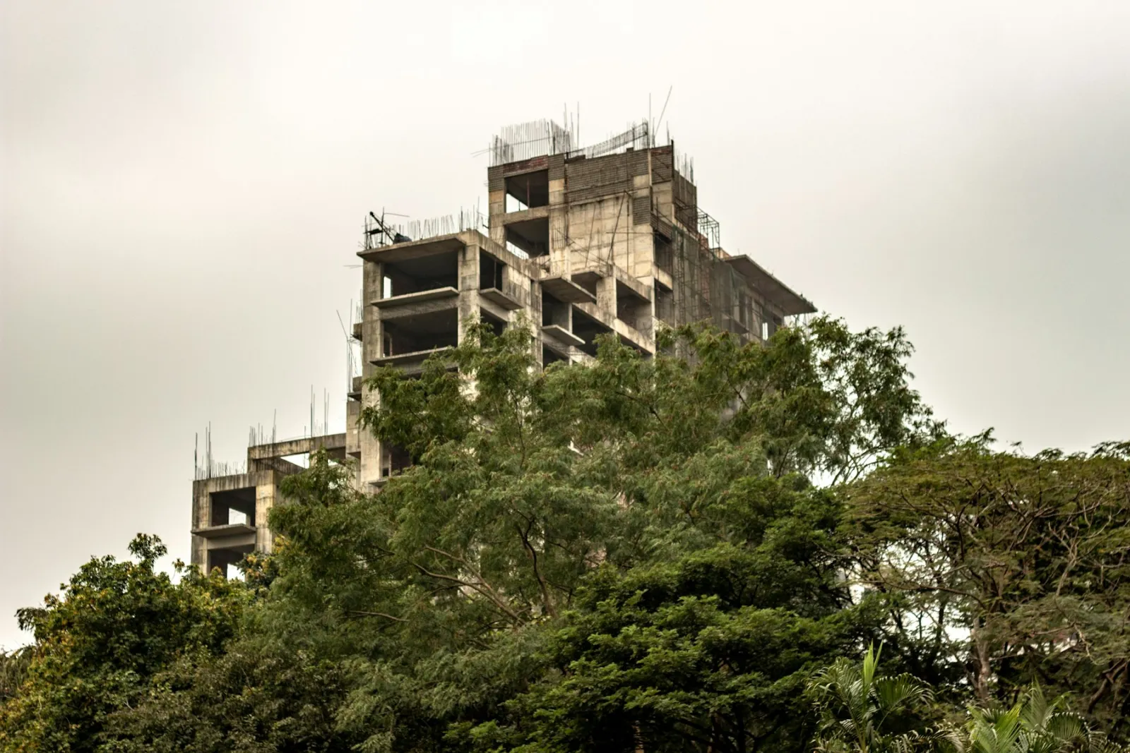 কাঠামো নির্মাণের কাজ চলছে